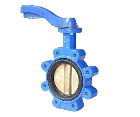 DN65 soupape papillon en fer ductile à moteur électrique avec service personnalisé