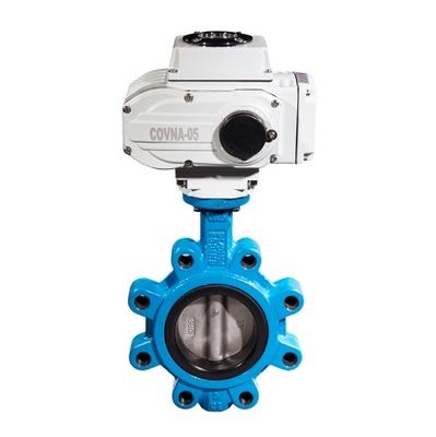 Valve à papillon de type SS Lt en fer moulé avec anneau d'étanchéité PTFE EPDM personnalisé