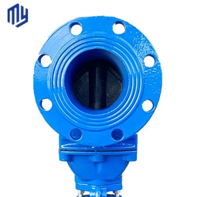 OEM Port Taille DN80 Pn16 Ventilateur de porte de la bride de l'acier au carbone industriel