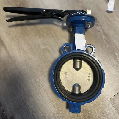 Valve papillon en acier inoxydable pour FMC Lug Type personnalisé et pris en charge par le support OEM