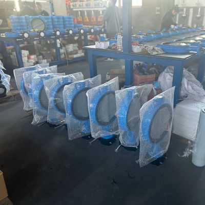 OEM Port Taille Valve de papillon d'extension en fonte avec service après-vente de soutien
