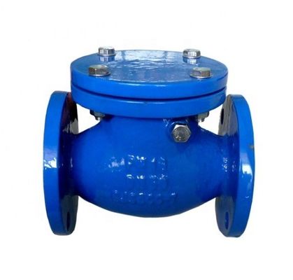 Type Y DN200 Ventilateur de vérification de balancement de fin de bride PN16 pour le support de la personnalisation OBM personnalisée
