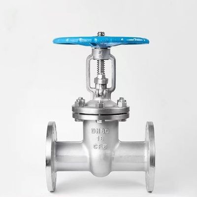 Structure papillon Porte en acier inoxydable à haute température pour environnements corrosifs