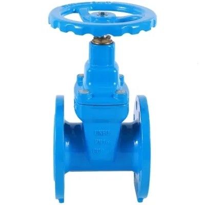 Valve de dégagement d'air en acier inoxydable avec support logiciel personnalisable