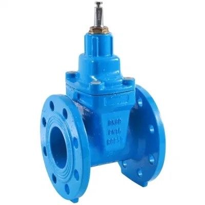 Valve de dégagement d'air en acier inoxydable avec support logiciel personnalisable