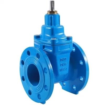 Valve de dégagement d'air en acier inoxydable avec support logiciel personnalisable