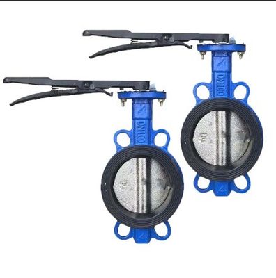150LB PN16 DN100 souple en fonte en acier inoxydable à double bride