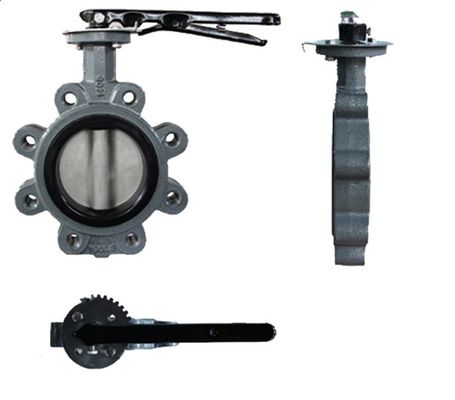 API609 EPDM revêtue de PTFE en fonte de type Wafer Lug Butterfly Valve pour les besoins personnalisés