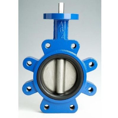 Résistant à l'eau PN10 PN16 Rubber Seal Lug Type Butterfly Valve Lt Type Worm Actionné