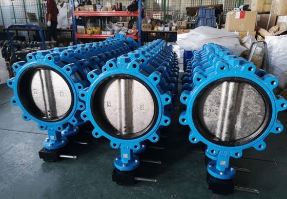 Valve à papillon de type SS Lt en fer moulé avec anneau d'étanchéité PTFE EPDM personnalisé