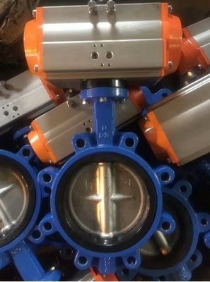 Valve à papillon de type SS Lt en fer moulé avec anneau d'étanchéité PTFE EPDM personnalisé