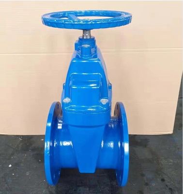 Taille de port personnalisée HT200 Type de vanne de porte à bride en fonte avec roue de fer ductile