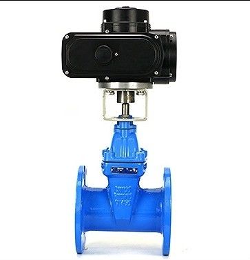 Taille de port personnalisée HT200 Type de vanne de porte à bride en fonte avec roue de fer ductile