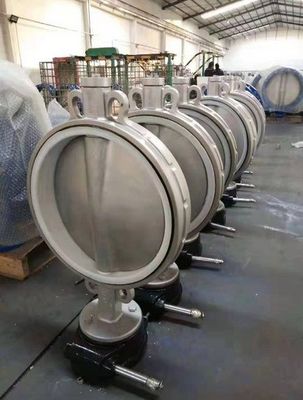 Valve papillon en acier inoxydable avec port OEM de taille et poignée de régulation pneumatique