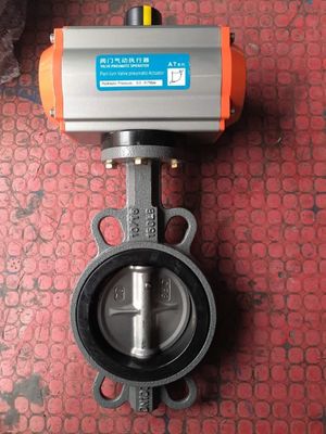 PN16 PN25 DN40-DN400 300LB à basse température manuelle à étanchéité métallique pneumatique