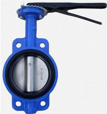 Valve papillon en acier inoxydable 400 mm/DN300 OBM Service personnalisé et après-vente