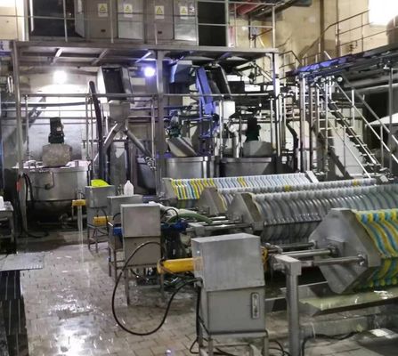 Équipement personnalisé d'élimination des cendres pour les boues en acier inoxydable