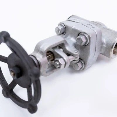 Excellentes vannes de décharge de tuyaux industriels pour les applications à haute température