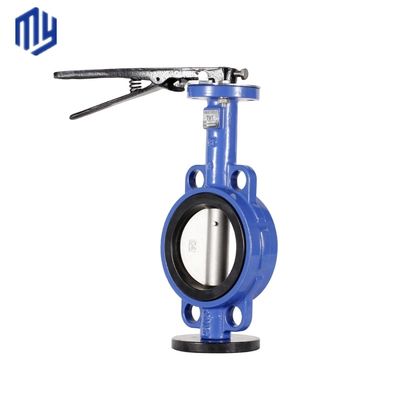Ventilateurs en acier inoxydable de taille de port OEM et équipements avec matériel de carrosserie en fer ductile
