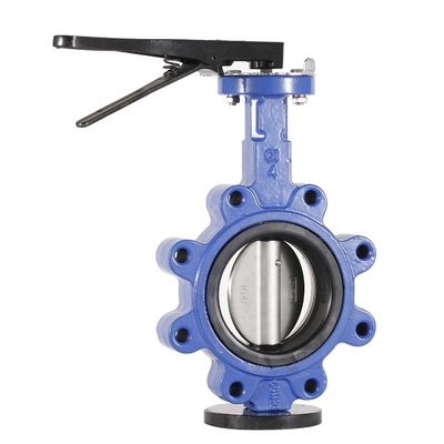 Ventilateurs en acier inoxydable de taille de port OEM et équipements avec matériel de carrosserie en fer ductile