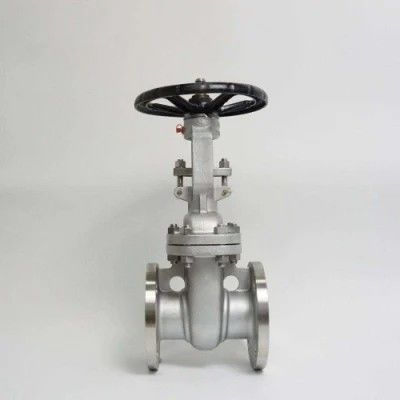 Média de l'eau souple étanchéité de la bride de la vanne de porte pour 4 pouces 6 pouces 8 pouces de fer de fonte Z45X-16Q
