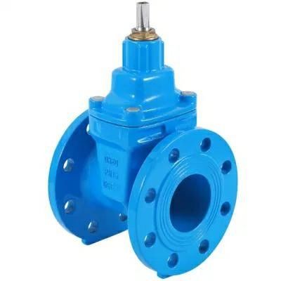 Valve de porte en acier inoxydable avec structure de roue à main en fer forgé DIN F4