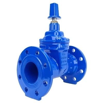 Valve d'entrée de type Y ductile à l'eau avec connexion de bride et matériau en acier inoxydable