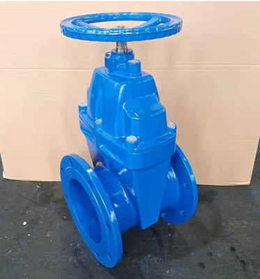 Valve d'entrée de type Y ductile à l'eau avec connexion de bride et matériau en acier inoxydable