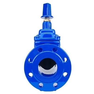 DN80 DN200 Filtre de type Y pour tuyaux en PEHD PN16