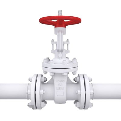 DN40-DN65 Valve universelle à double boule automatique de décharge d'air pour égoutter l'eau ou l'irrigation