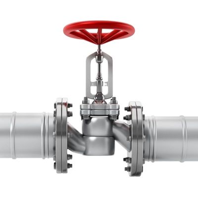 Valve de vérification à plaque unique de levage de plaque Pn25 DN 50 en acier inoxydable
