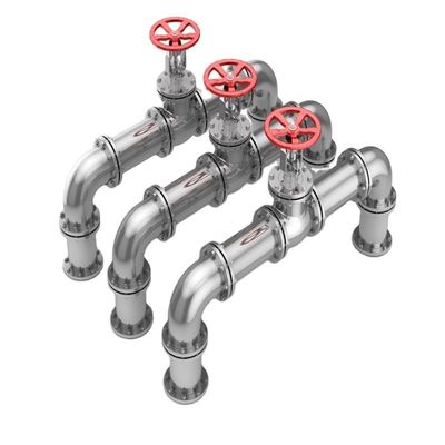 Valve de vérification à plaque unique de levage de plaque Pn25 DN 50 en acier inoxydable