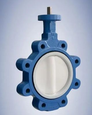 Valve papillon en fonte La solution ultime pour les applications hydrauliques sanitaires