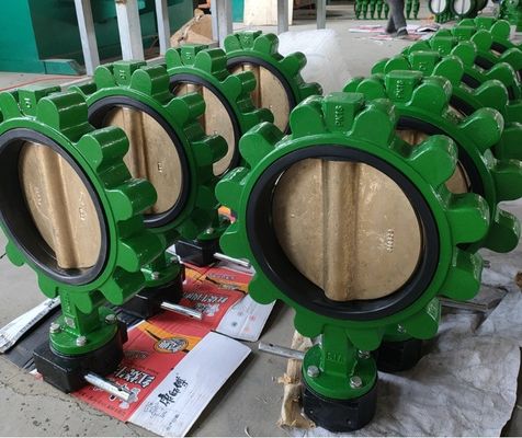 Valve papillon en fonte La solution ultime pour les applications hydrauliques sanitaires