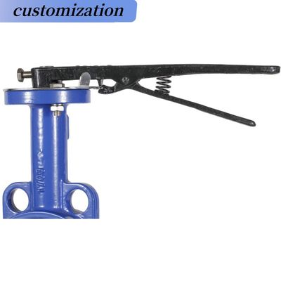 CF8 Di Ci EPDM PTFE à acide fort, ductile, fer à levier