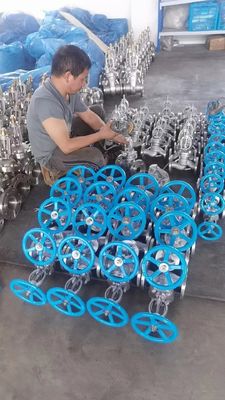 Vente de vannes de porte en acier inoxydable de type Y avec action manuelle et joint métallique ou en caoutchouc