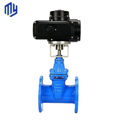 Valve de porte en fer ductile robuste pour un contrôle optimal du débit dans les systèmes hydrauliques