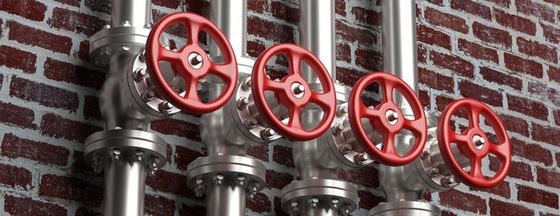Valve à globe à brides en acier inoxydable pour les applications à haute pression et la durabilité