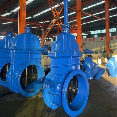 Valve de porte en fonte GGG50 à tige résistante non montante pour taille de port personnalisée