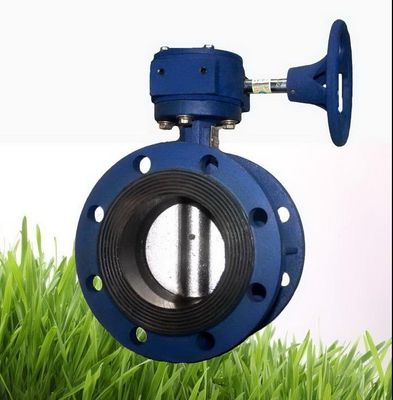 Valve de vérification de balancement en fonte personnalisée/valve à air/valve à papillon à double excentrique manuelle