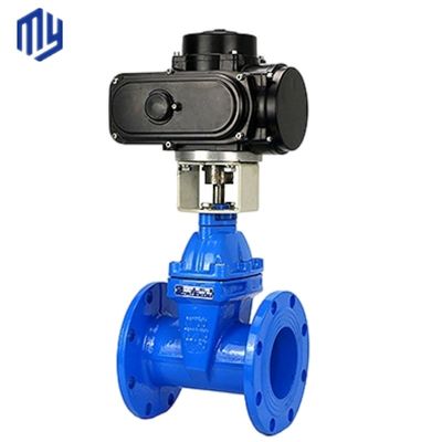 Valve d'entrée d'eau PN16 standard DIN avec coin en caoutchouc et carrosserie en fer ductile GGG50