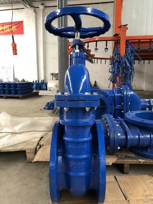 DN32 CI Flange de siège métallique Fer moelleux en fonte Sceau montant en acier inoxydable