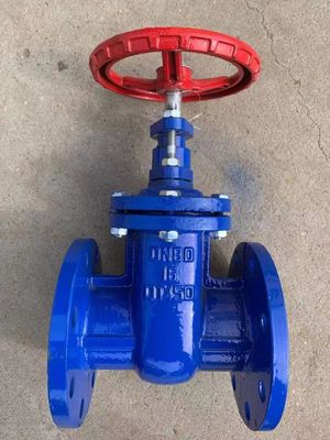 DN32 CI Flange de siège métallique Fer moelleux en fonte Sceau montant en acier inoxydable