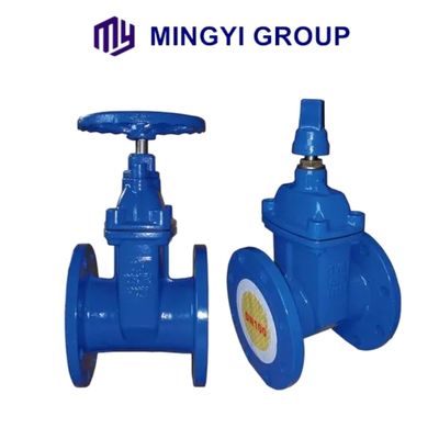Valve de porte en fonte à tige ductile à bride sans élévation avec support d'eau personnalisé