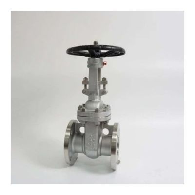 Valve d'entrée en acier inoxydable industriel avec conception et bride de forage complet personnalisées