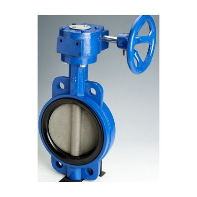 OEM opérateur de pièces de verrouillage en fonte Double Flange EPDM/NBR Siège Disque en acier inoxydable Lug Wafer Butterfly Valve