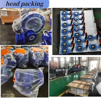 OEM opérateur de pièces de verrouillage en fonte Double Flange EPDM/NBR Siège Disque en acier inoxydable Lug Wafer Butterfly Valve