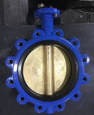 Valve à papillon concentrique pour normes