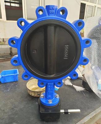 Média de l'eau Sanitaire en acier inoxydable CF8 WCB Fer ductile entièrement tapé