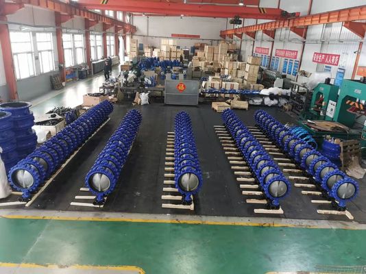 Média de l'eau Sanitaire en acier inoxydable CF8 WCB Fer ductile entièrement tapé